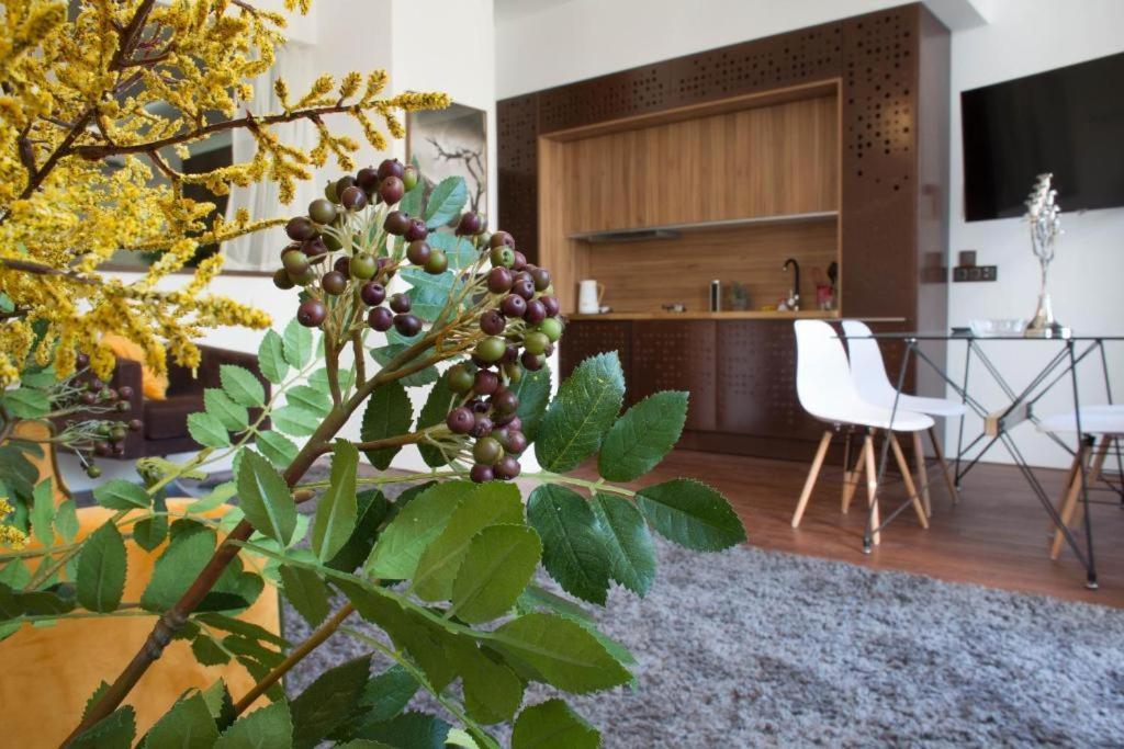 Madeira Loft I - City Center فونشال المظهر الخارجي الصورة